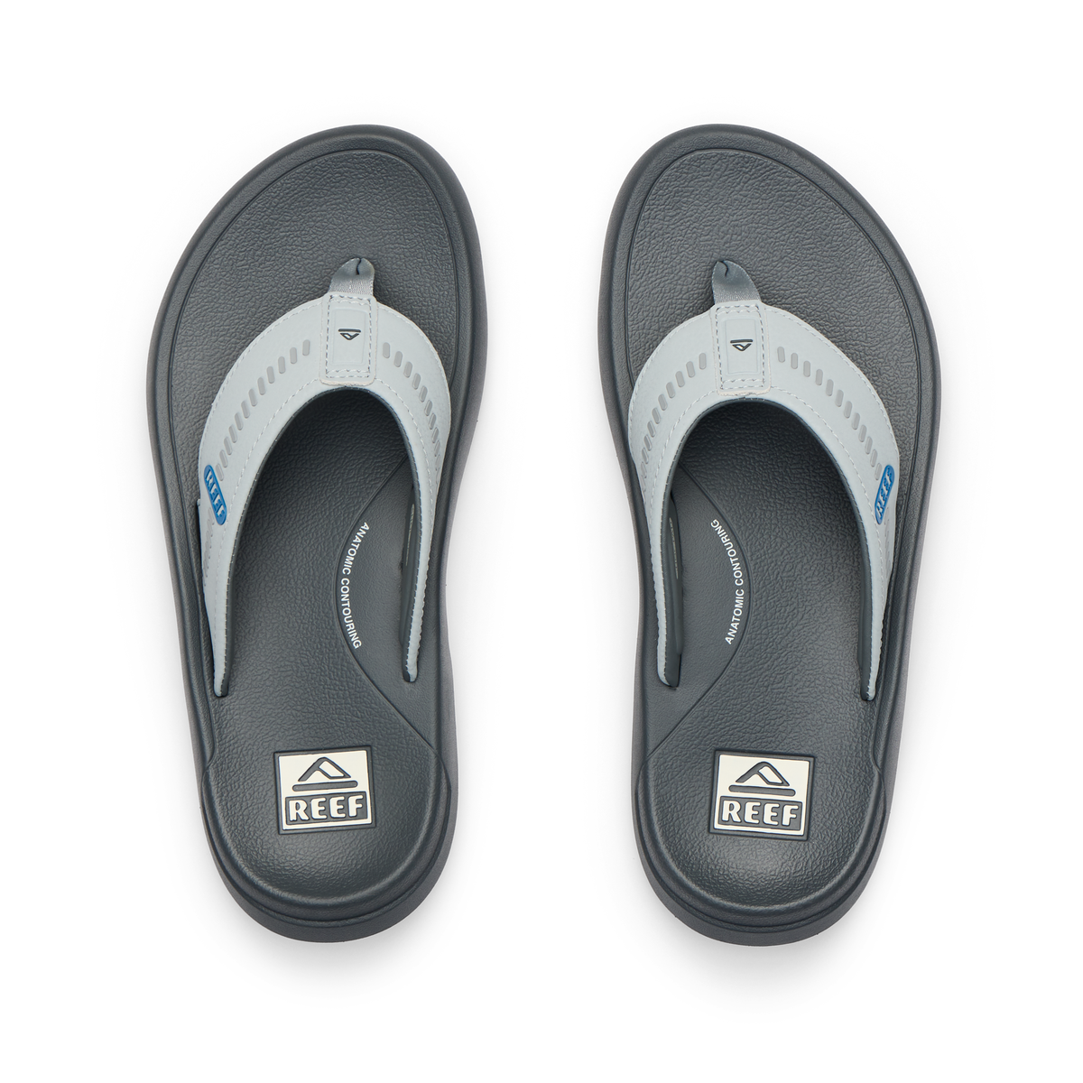 Cruiser - Grey/Light Grey/Blue - Top View