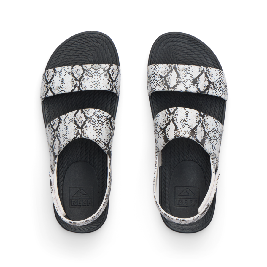 Reef Water Vista - Black Snake - Top View