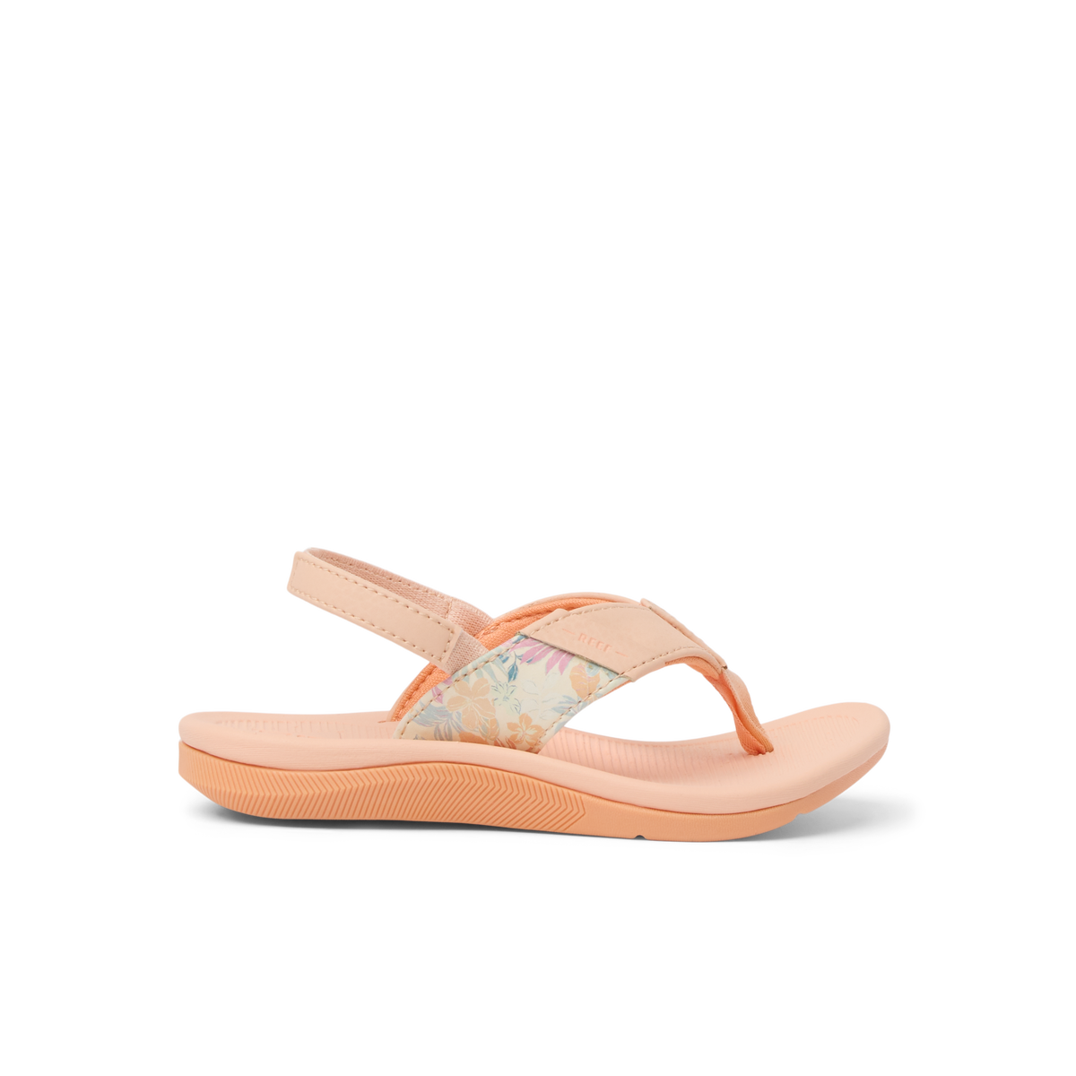 Little Santa Ana - Bellini - Right Side View