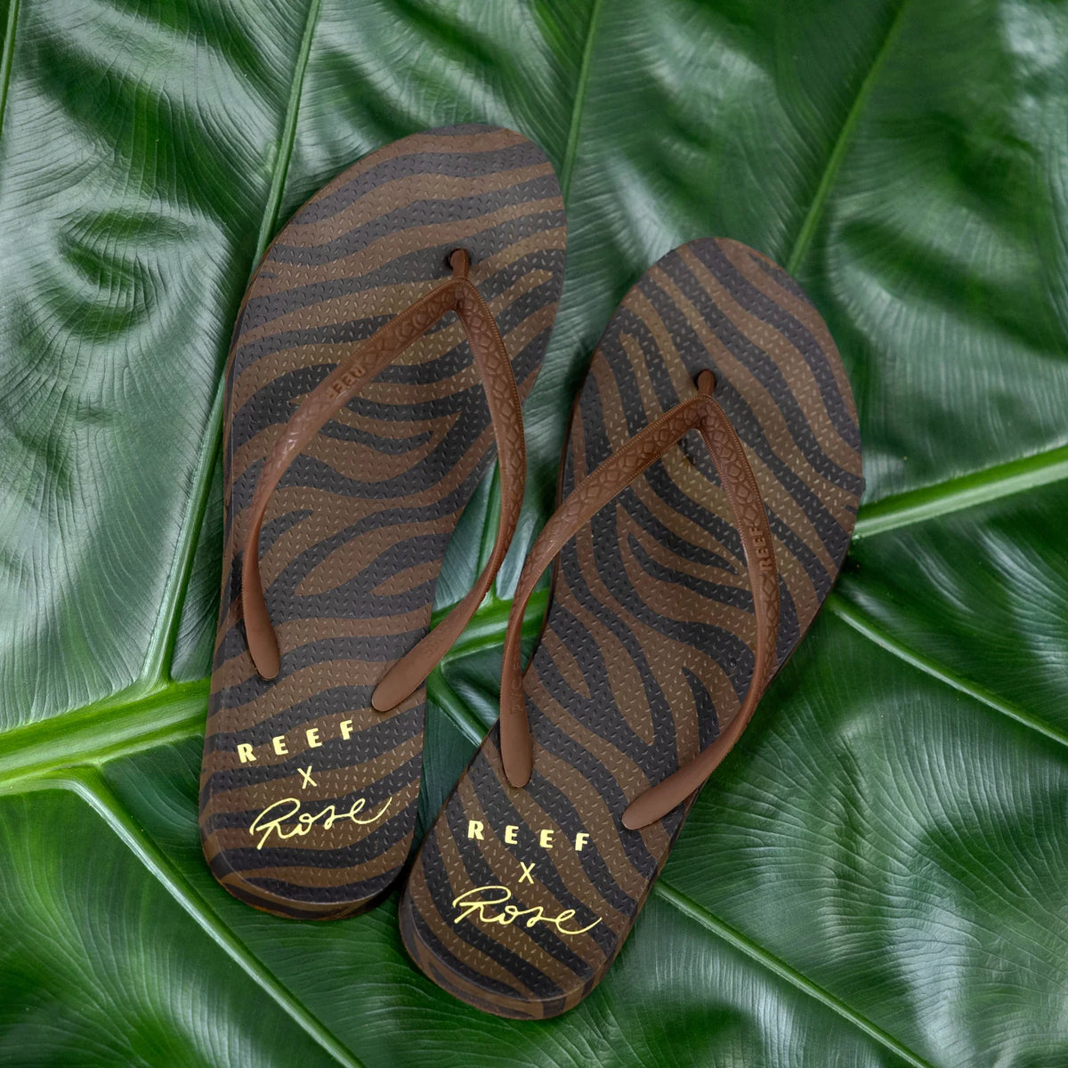 Seaside - Rose women's brown zebra-print flip flops top view, surf-inspired comfort sandals facing up on green leaves