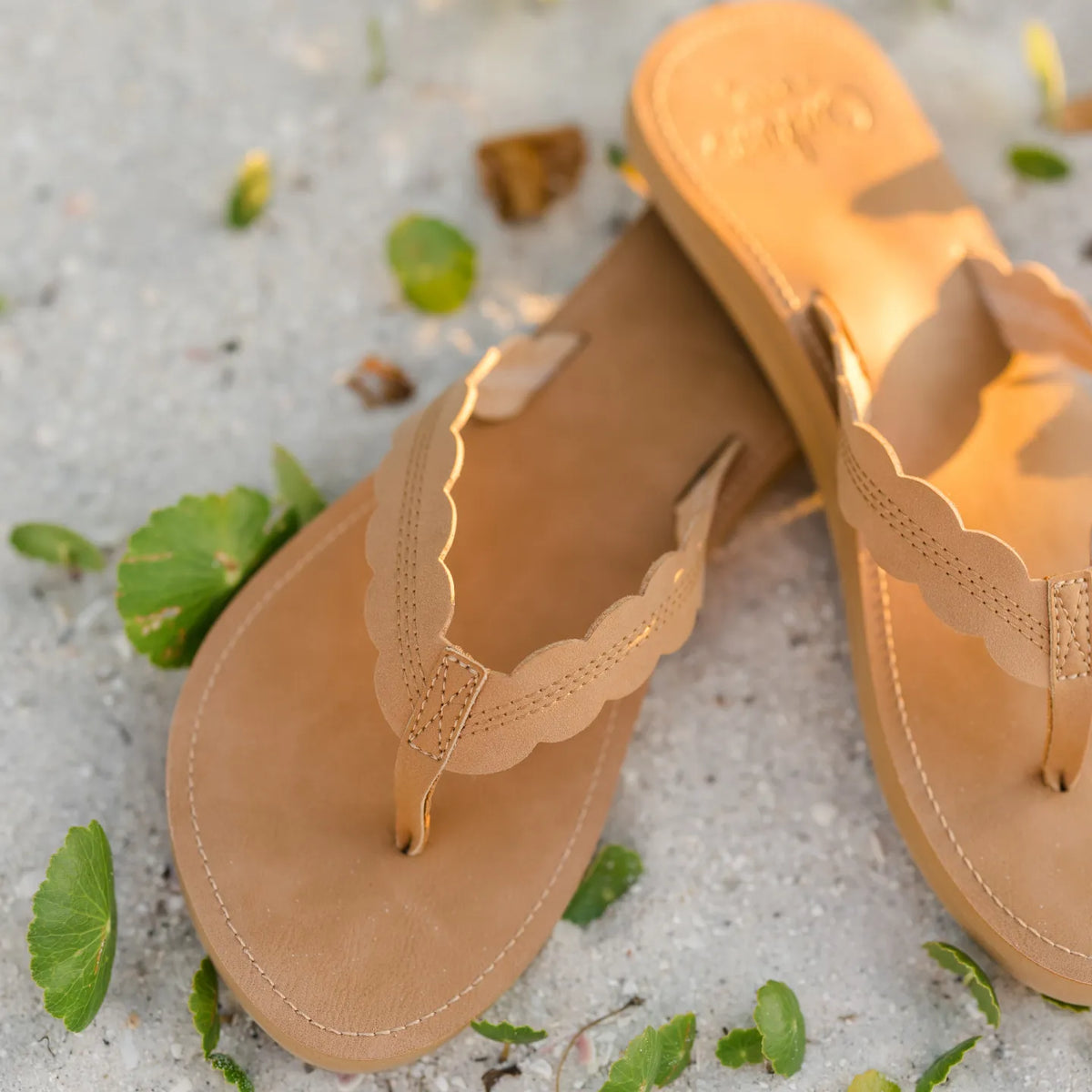Reef Celine x Jenny tan sandals facing forward showing scalloped straps and cushioned footbed with arch support for beach comfort